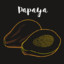 ElPapaio