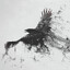 Raven ツ