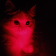 『Mł₭VØⱠⱠ』