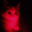 『Mł₭VØⱠⱠ』
