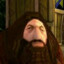 hairy hagrid