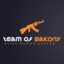 [Team Of Bakony] toni