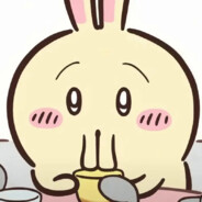 Usagi