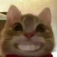 我是哈基米大王66