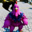 Pink Fluffy Chicken