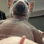 domr
