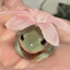 nugu