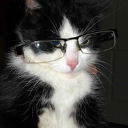 墨小菊天下第一