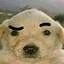 El Padre Dog
