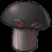 瓦达西瓦Türkler