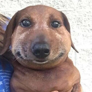 Колян