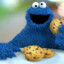 Cookie Monster