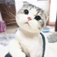 老寒腿