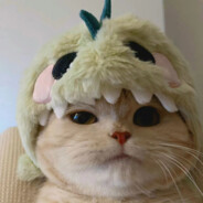 我要开始闯祸了