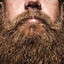 Netao BeardFace