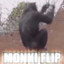 Monki flip