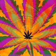 皇莆 龙狗