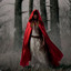 Riding Hood hellcase.com