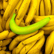 𝙀𝙡𝙚𝙘𝙩𝙧𝙤𝙣𝙞𝙘.𝙎𝙖𝙣𝙯