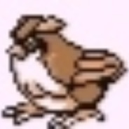 level 1 pidgey