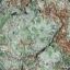 Cannabized✈