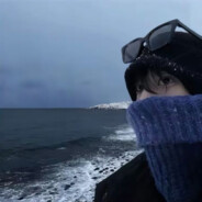 人生若只如初见