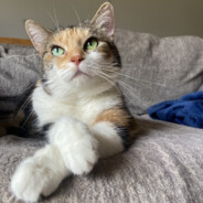 Lena