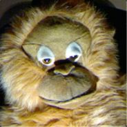 Screech013