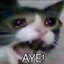 ϟVolTageϟ