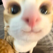 AAAAAAA - steam id 76561199015579963