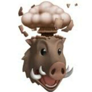 reed's avatar