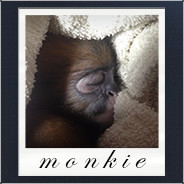 Monkie