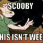 THICC SHAGGY