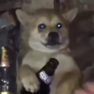 不关圈圈的事哦