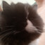 Mocca