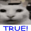 Uncanny Cat (real)