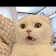 没有眼镜的小黄人