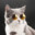 igipigiel csgoskins