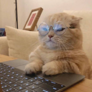 小林再多睡一会