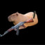 capivara CSGOSKINS