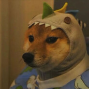 大哥你信风水么