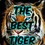 TheBestTiger