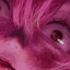 ban_kai