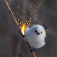 Flappy
