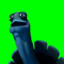 oog