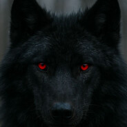 WOOF avatar