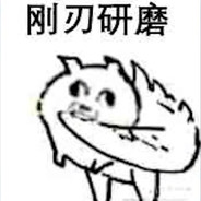 兼具智慧与美貌的八重神子大人赐予我视野