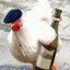 Chicken master 3.0