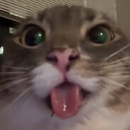 fug1