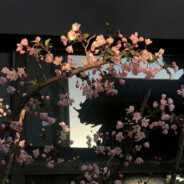 压力我的没牛子